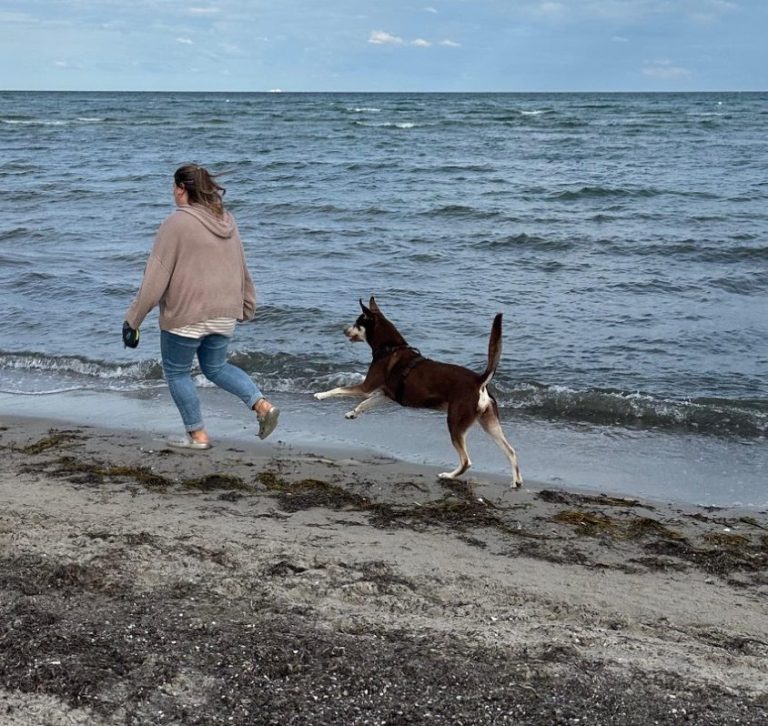 Hund und Mensch am Meer