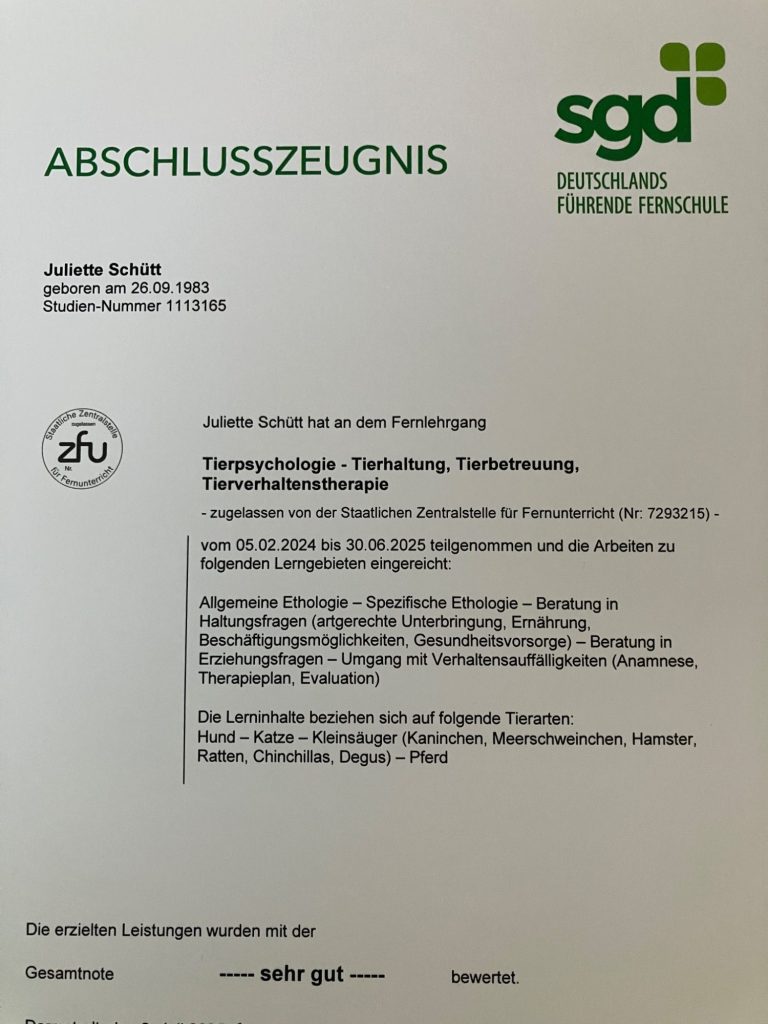Zeugnis SGD Schule Verhaltenstherapeut für Hund, Katze und Pferd Zeugnis SGD Schule Verhaltenstherapeut für Hund, Katze und Pferd
