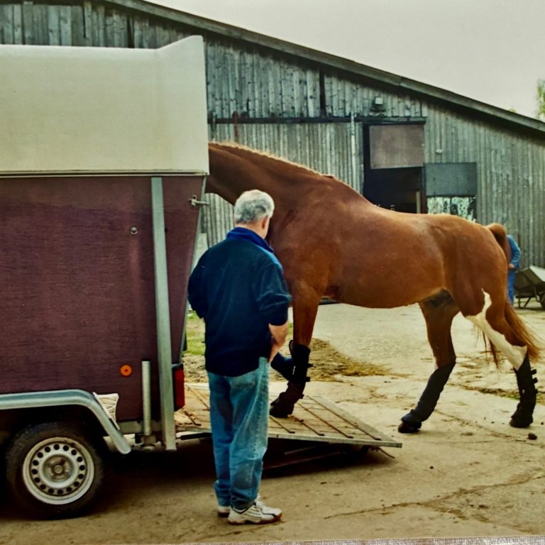 Robi beim verladen Pferd beim verladen