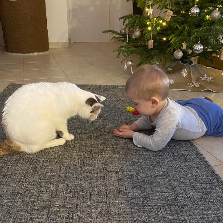 Katze und Kleinkind auf Teppich